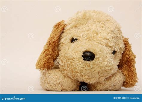 Friendly And Cheerful Dog Doll Stock Photo Image Of Pets Objects