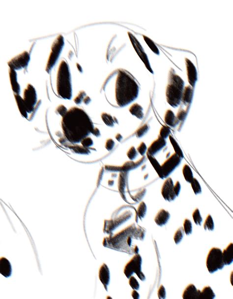 SIR SASHA (@vyolancexvii) / Twitter