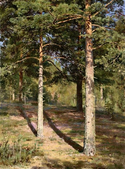 Шишкин Иван Иванович «Сосны, освещенные солнцем» (1886) в 2025 г ...