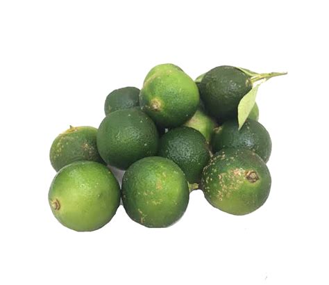 Calamansi Kalamansi Palengkego