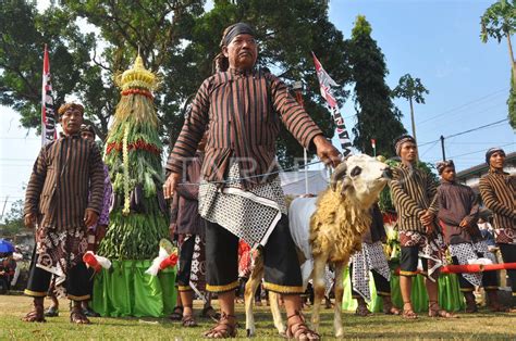 TRADISI GREBEG GULAI ANTARA Foto