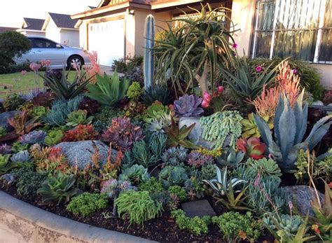 Garden Musings Video Courtesy Of Central Texas Gardner Succulents