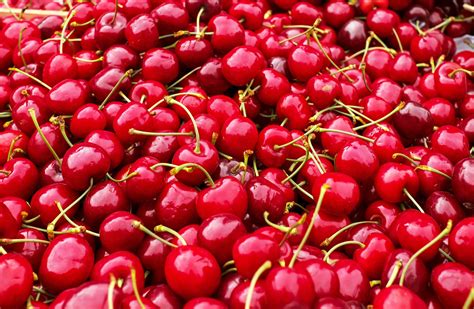 Cherry Fruit Wallpapers Wallpaper Cave