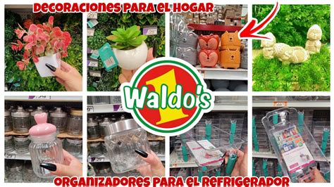 Waldos Recorrido Y Novedades Youtube