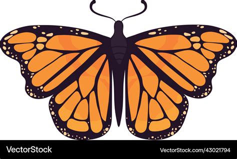 Monarch Butterfly Clipart