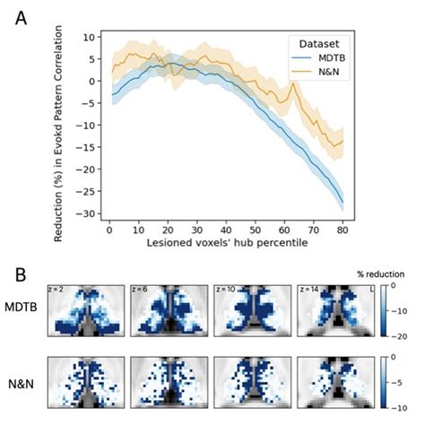 Simulating The Thalamic Lesion S Effect On Activity Flow Model