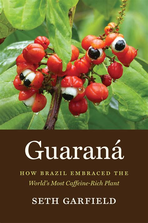 Review Of Guaraná How Brazil Embraced The Worlds Most Caffeine Rich