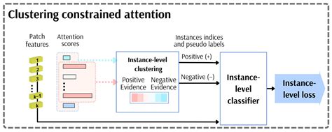 Cancers Free Full Text Attention Based Deep Learning System For