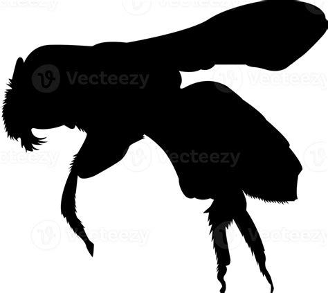 Wild Animal Silhouette 27154659 PNG