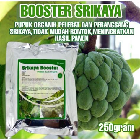 Jual Pupuk Pelebat Buah Srikaya Booster Srikaya Organik Menutrisi