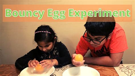 Bouncy Egg Science Experiment Youtube