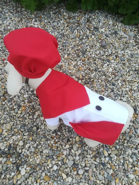 Dog Chef Dog Chef Costume Pet Chef Costume Chef Costume for - Etsy