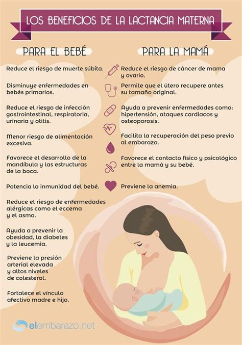 Beneficios De La Lactancia Materna Para La Madre Y El Recien Nacido