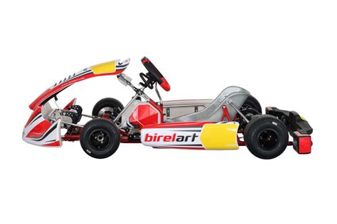 Birel Art Birel Art Racing Kart Kz