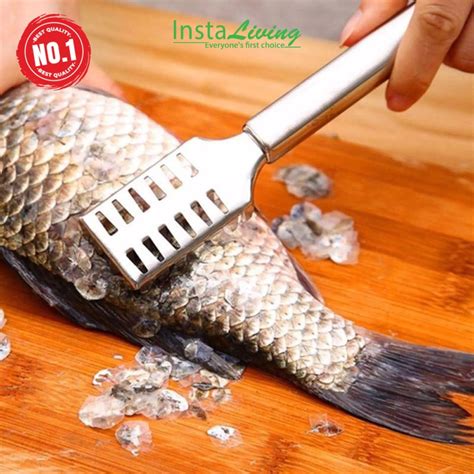 Jual Alat Pembersih Pengupas Sisik Ikan Fish Scale Remover Stainless