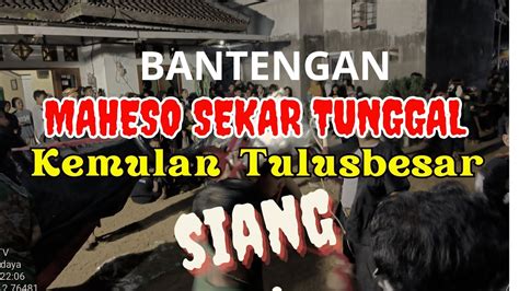 Maheso Sekar Tunggal Kemulan Tulusbesar Siang Sore Youtube