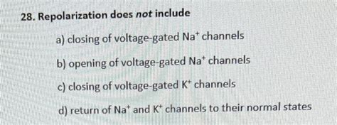Solved 28. Repolarization does not include a) closing of | Chegg.com 