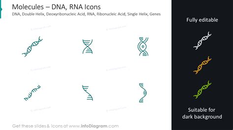 Molecules icons: DNA, RNA, double helix