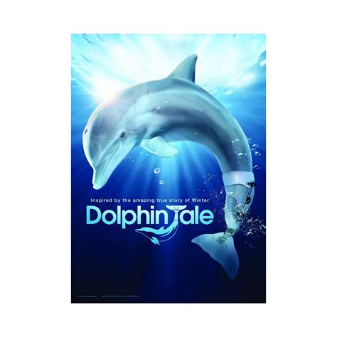 Mon Ami Le Dauphin Puzzle Film Dolphin Tale Pi Ces Puzzle