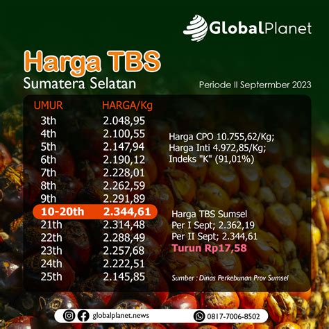 GlobalPlanetNews Harga TBS Sawit Di Sumsel Periode II September 2023