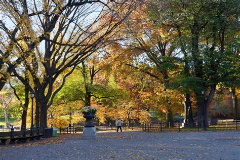 Walking Path in Central Park Stock Image - Image of tree, york: 246451185