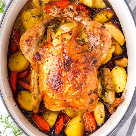 Top 4 Dutch Oven Chicken Recipes