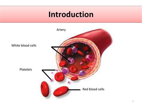 Alteration In Hematologic Function Ppt Download