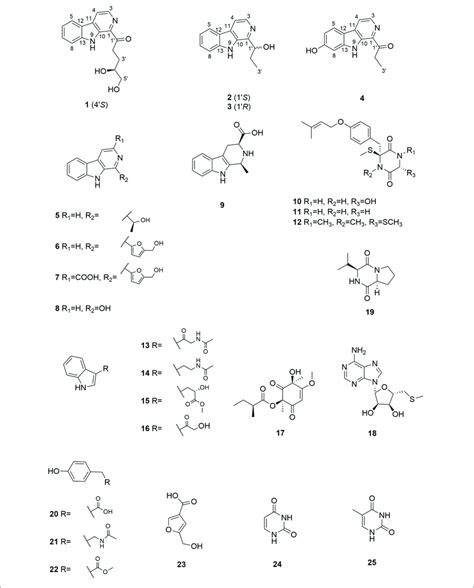 Chemical Structures Of Compounds 1 25 Download Scientific Diagram