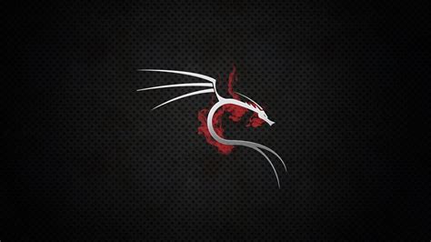 Pentest Wallpapers Top Free Pentest Backgrounds Wallpaperaccess