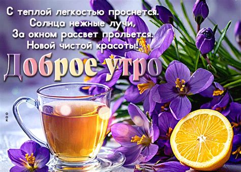 aromatnaya gif otkrytka  teplym  dobrym utrom otkrytki onlayn