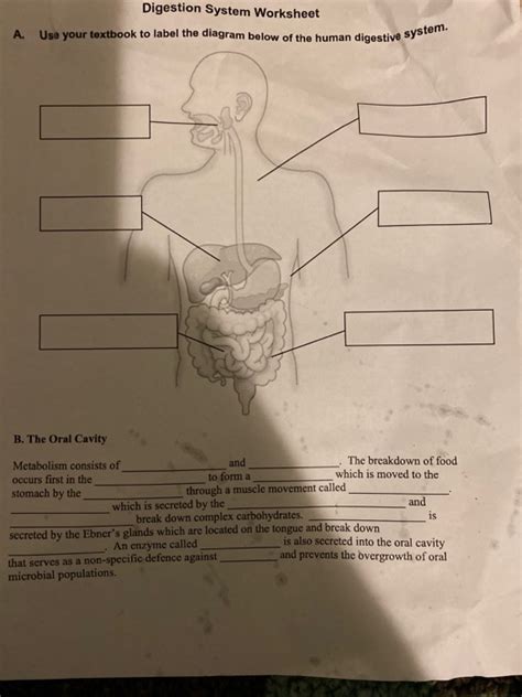 The Human Digestive System Worksheet Answer Key Pdf Richinspire