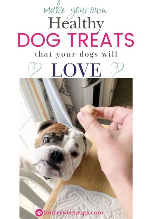 Make Your Own Healthy Dog Treats That Your Dogs Will Love Dog Treats