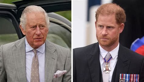 King Charles Faces Heartbreaking Reality In Rift With Prince Harry