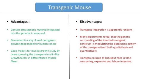 Mouse model: Pros & Cons