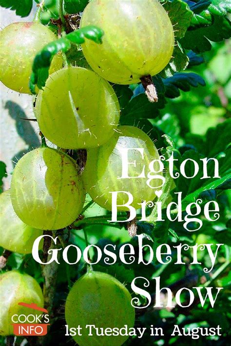 An Advertisement For The Egton Bridge Gorseberry Show With Green Fruit