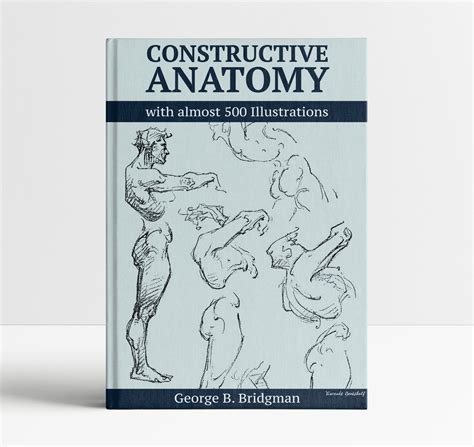 Constructive Anatomy Bridgman Figure Drawing Book Learn To Etsy Australia