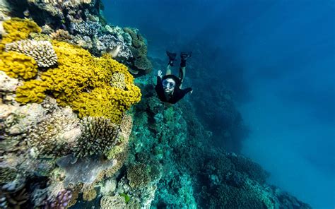 Barrier Reef