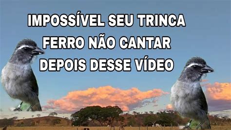 O G S Final Que Vai Fazer Seu Trinca Ferro Cantar Na Temporada Youtube