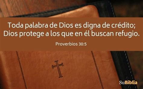 Vers Culos B Blicos Que Hablan Sobre La Palabra De Dios Biblia