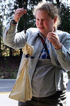 Studying Southern Flying Squirrels Glaucomys Volans