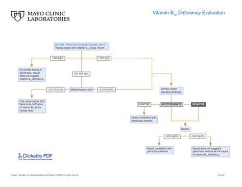 Vitamin B12 Deficiency Evaluation | PDF | Vitamin B12 | Nutrition