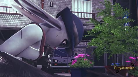 Anime Furry Search Xvideos