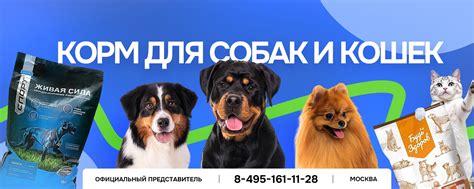Корм для собак и кошек Живая Сила в Москве | Корма Живая Сила Спорт и ...
