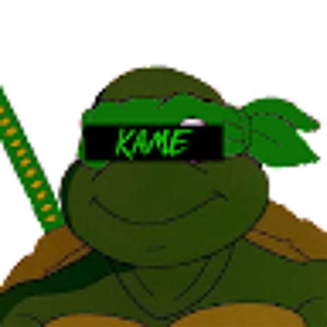 Stream Aka Turtles Music Listen To Songs Albums Playlists For Free