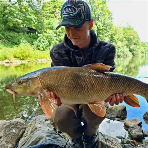 ᐅ River Severn fishing reports🎣