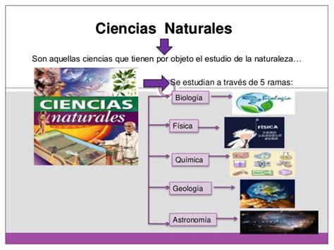 Ejemplos De Ciencias Naturales