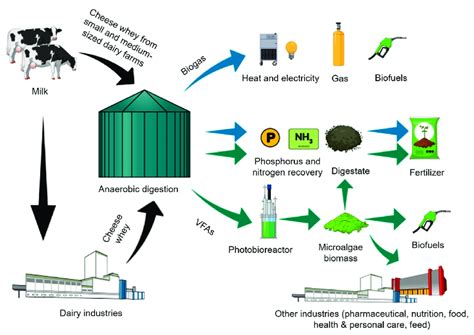 Scenarios For The Full Valorization Of Cheese Whey Surplus Whey Can