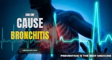 Understanding The Link Between Gerd And Acute Bronchitis: Causes ...