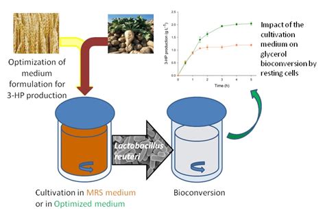 Fermentation Free Full Text Wheat And Sugar Beet Coproducts For The