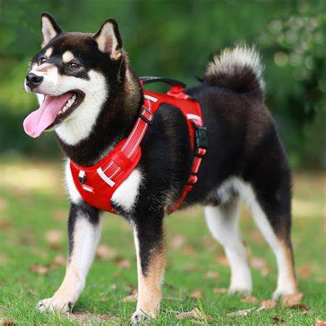 Arnés para perro ajustable reflectante suave acolchado sin tirones